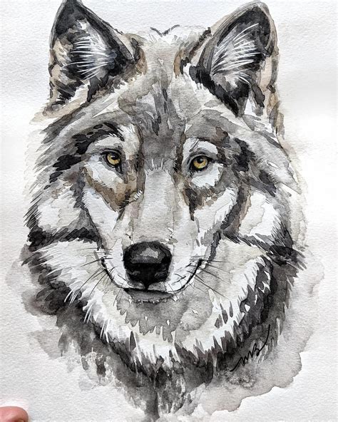 Wolf Paintinganimal Watercolour Wildlife Painting Canadian