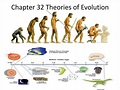 PPT - Chapter 32 Theories of Evolution PowerPoint Presentation, free ...