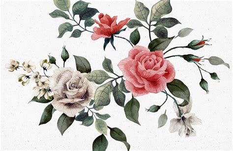Vintage Red And White Rose Wallpaper Murals Wallpaper