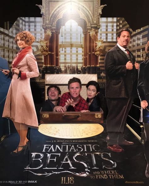 Fantastic Beasts And Where To Find Them No Brasil Animais Fantásticos