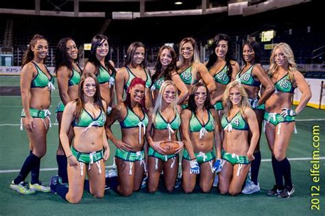 Seattle Mist Everything You Need To Know With Photos Videos