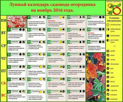 Лунный календарь садовода урал 2025 Лунный календарь садовода урал 2025