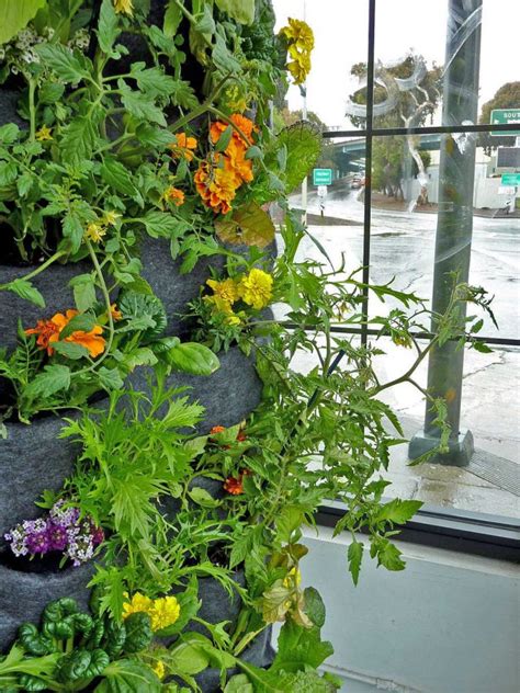 Florafelt Aquaponic Vertical Vegetable Garden Plants On Walls