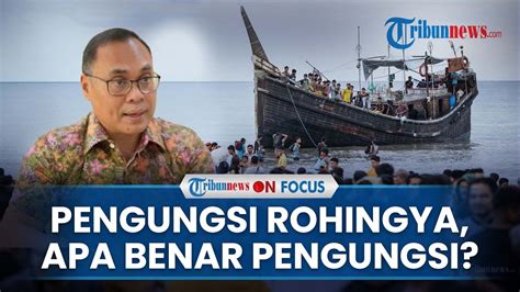 Soal Pengungsi Rohingya Di Aceh Hikmahanto Mereka Pendatang Gelap Dan