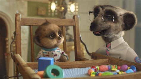 Oleg Gets Hiccups Compare The Meerkat Baby Meerkat Meerkat Free