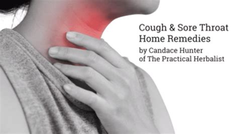 cough and sore throat natural home remedies for lungs and throat the practical herbalist