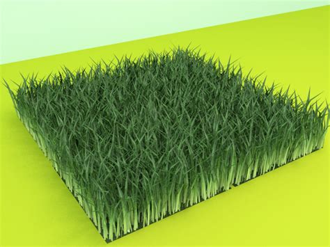 Grass Texture 3d Model