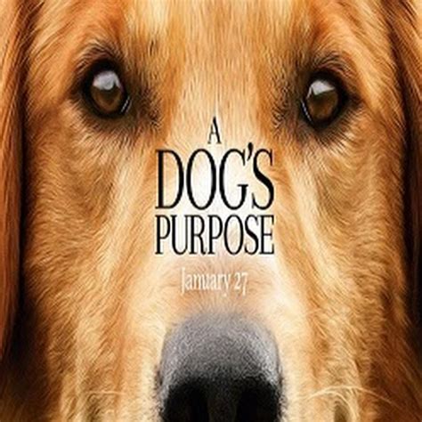 A Dogs Purpose 2017 Full Movie Youtube