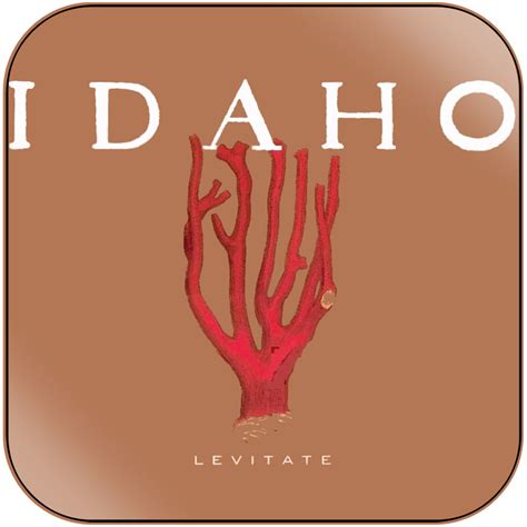 Idaho Levitate Album Cover Sticker