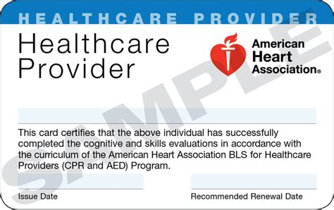 American Heart Association Healthcare Provider Cpr Online Top Five