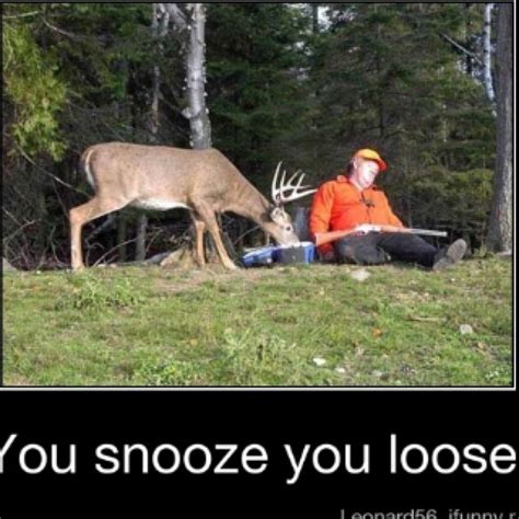 Pin By E M On Funnies Funny Deer Hunting Humor Funny Memes