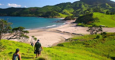 Northland Discovery Guided Walks Hiking New Zealand