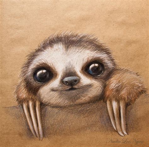 Sloth By Nadia Lee Nyan On Deviantart