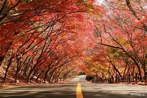 Meet A Friend 29 Beautiful Places In South Korea Seoul Pictures