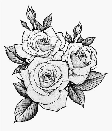 Dibujos De Rosas Para Dibujar A Lapiz Dibujos De Rosas A L Piz