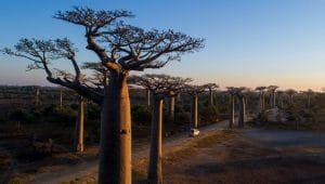 Visiter Madagascar Lieux incontournables Sites touristiques Activités