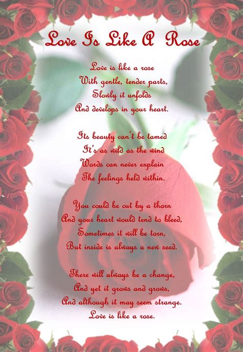 Poem Called Love Is Like A Rose Rose Poems Garden Poems Flower Poem