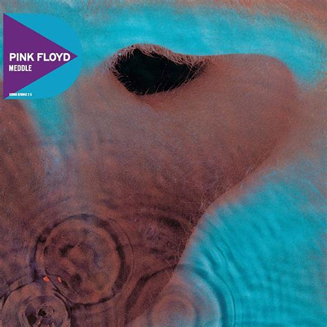 Pink Floyd Meddle Album Historico 1971 Pyd