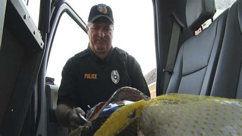 Pat cummins 4 sep 2020. Yale Police Chief Helps Struggling Mother Caught Shoplifting