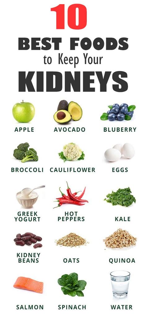 Start eating well with these 8 tips for healthy eating, which cover the basics of a healthy diet and good nutrition. 10 Best Foods to Keep Your Kidneys | Foods good for ...