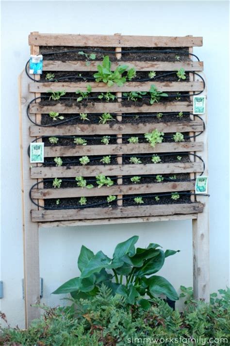With these simple steps and ideas, you can set up a. How to Build a Vertical Garden Using Pallets