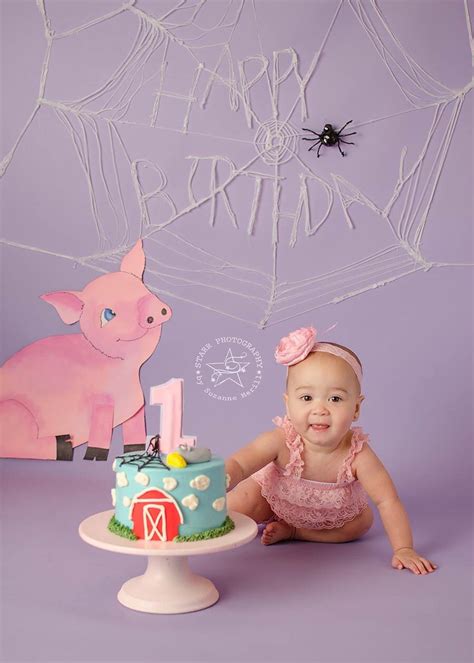 Charlottes Web Cake Smash 2 Year Old Birthday Party Baby First