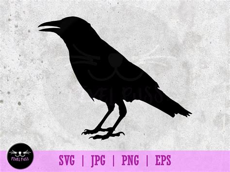 Black Raven Svg Bird Silhouette Svg Vector Illustration Png Etsy