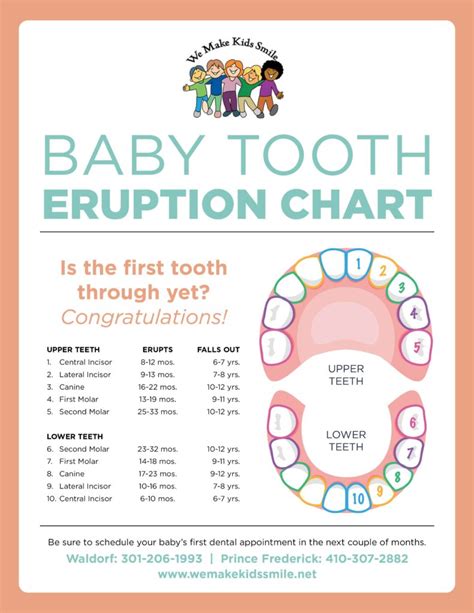 When Do Babys Teeth Come In We Make Kids Smile