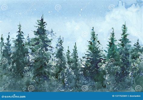 Watercolor Coniferous Forest Stock Illustration Illustration Of