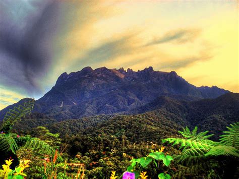 Mount Kinabalu Park Mount Kinabalu Park Sabah Malysia