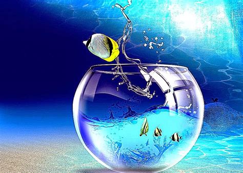 Fish Jump Windows 7 Animated Best Wallpapers