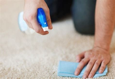 How To Remove Coffee Stains From Carpet Quick Tip Bob Vila