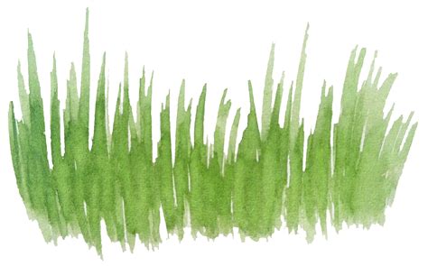 Watercolor Grass Hand Drawn Png