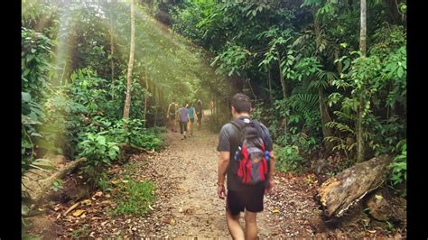 Sunset at macritchie reservoir singapore. MacRitchie Nature Trail, Saingapore - YouTube