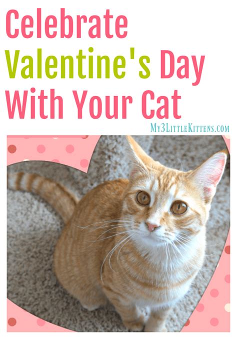 celebrate valentine s day with your cat my 3 little kittens
