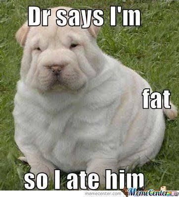 We have 85+ amazing background pictures carefully picked by our community. 50+ Funniest 🤣 Fat Dog Memes On The Internet | Guaranteed ...