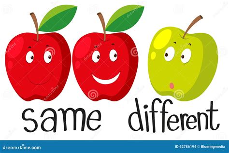 Opposite Adjectives With Same And Different Stock Vector Illustration