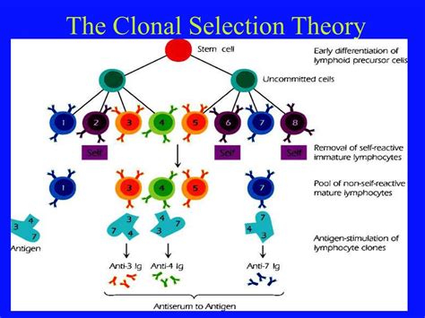 Ppt Immunology Overview Powerpoint Presentation Id655228