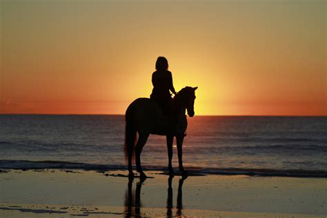 Best Beach Horseback Riding Tips