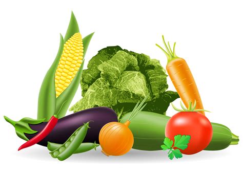 Vegetable Cartoon Stock Vectors Vector Clip Art Shutterstock The Best