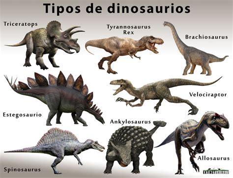 Dinosaurios Fotos Y Nombres