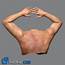 3D Adult Male Torso Rigged » Download And Buy Profestionnal Models 