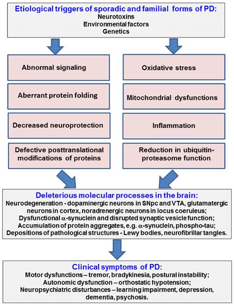 Principal Pathological Processes In Pd Etiology And Clinical Hallmarks