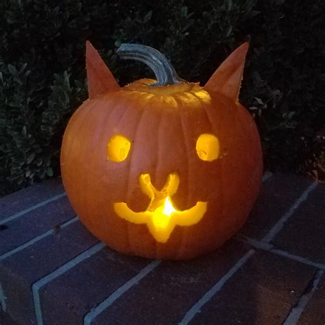 Fan Made I Made A Battle Cat Jack O Lantern For Halloween D R