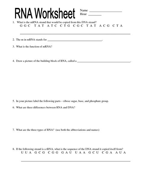 After transcription, trna is extensively modified to include the anticodon, a string of three key bases on the trna, match with three bases on the mrna message called the codon. RNA Worksheet Name : Biological Science Picture Directory ...