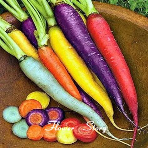 200 Rainbow Carrot Seeds Mix Seven Crazy Varieties Vegetable Seeds