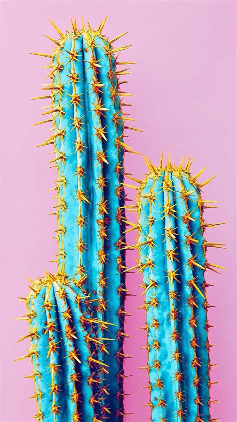 21 Cactus Iphone Wallpapers Wallpaperboat