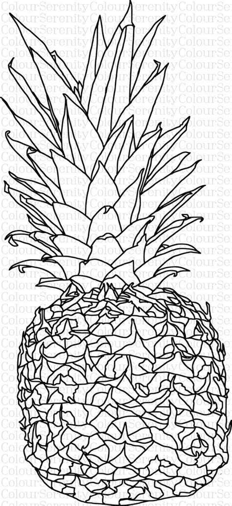 Adult Coloring Page Pineapple Printable Instant Download