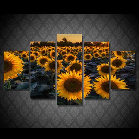 11 Gambar Bunga Matahari Hd Yang Mantul Informasi Seputar Tanaman Hias