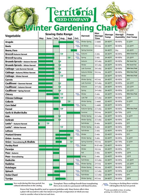 Allotment Planting Calendar ⋆ Calendar For Planning